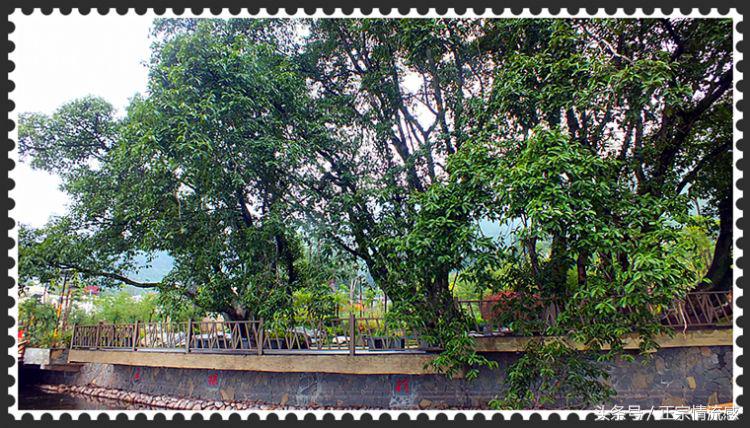 邛海公园旅游攻略,邛海旅游攻略酒村