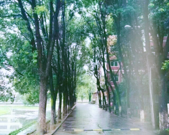 时光是一首悠长的诗,时光是一首歌