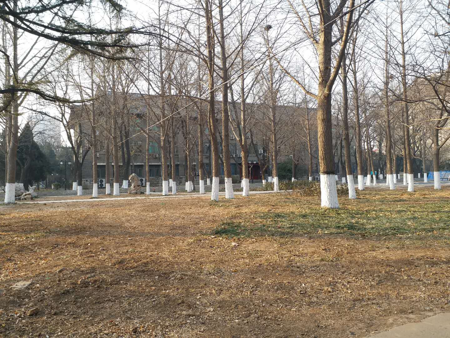 齐鲁医学院简介山东医科大学,山东大学齐鲁医学院老建筑