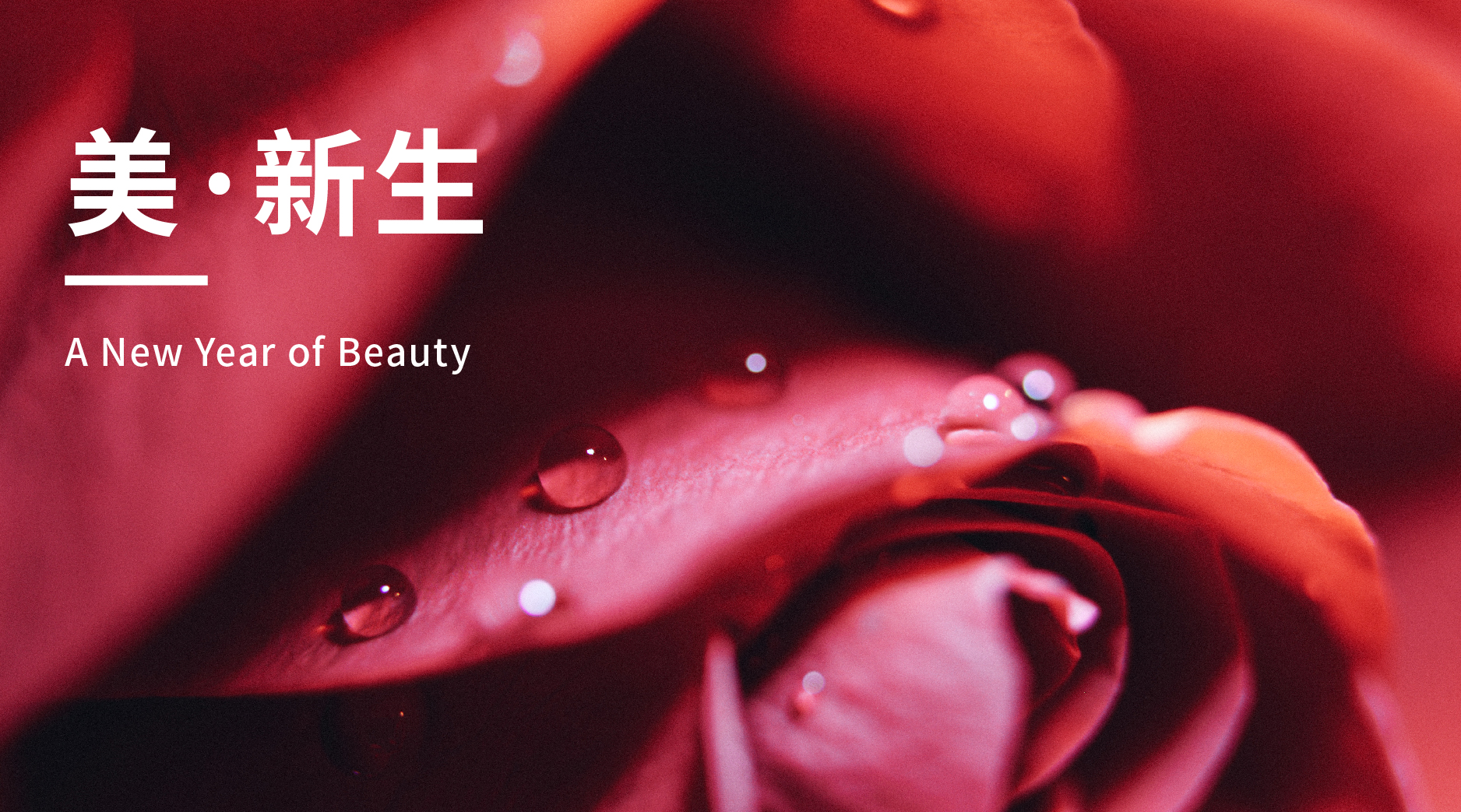 雅诗兰黛小棕瓶希思黎全能乳,雅诗兰黛新春