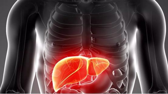 乙肝抗病毒需要终身服药吗,乙肝治疗每天都要吃药吗