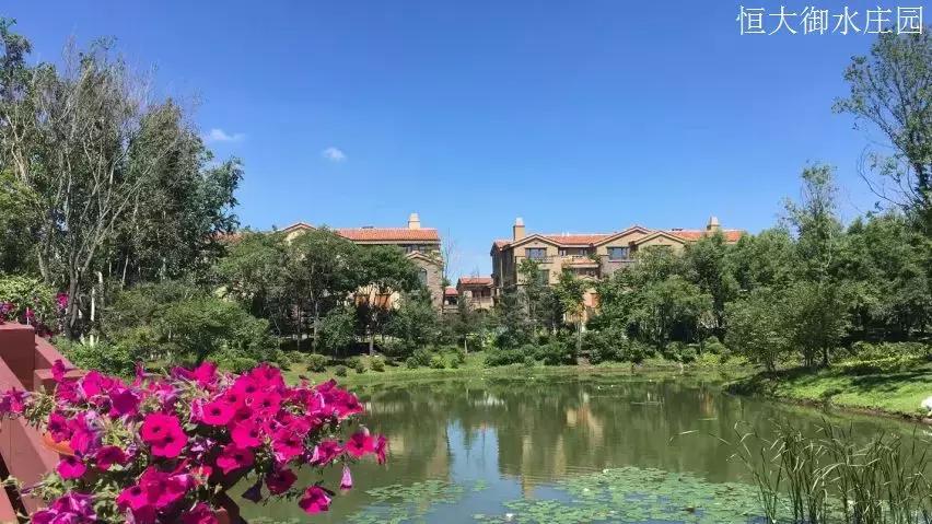 经开区东方广场,经开区新商业中心