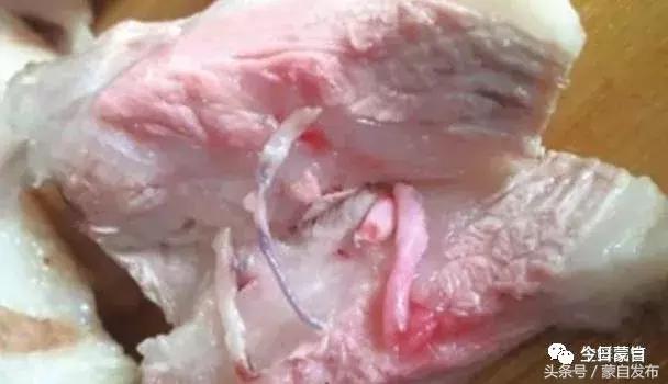 过年了,蒙自的这*猪种**肉千万别买!