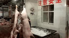 过年了,蒙自的这*猪种**肉千万别买!