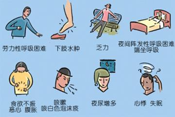 怎样防止心脏疾病,心衰怎么能促进心脏功能恢复