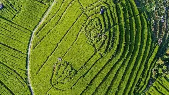 南昌附近小众露营看日出日落,南昌到广州自驾游有哪些景点好玩