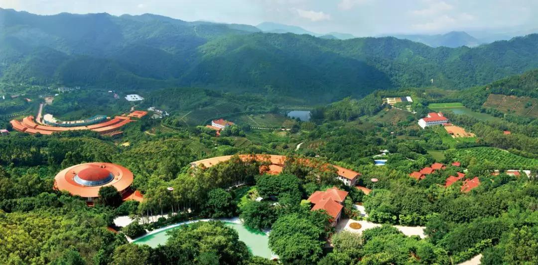 请到广东过大年2017,请到广东过大年采访