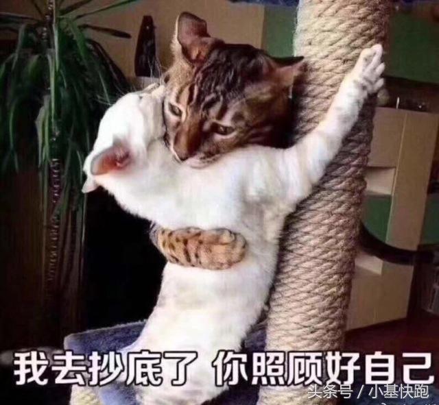 何以解忧唯有暴跌,暴跌原因段子