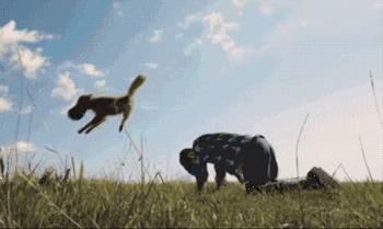 狗年旺旺视频完整版,狗年旺旺2019