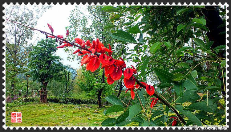 邛海公园旅游攻略,邛海旅游攻略酒村