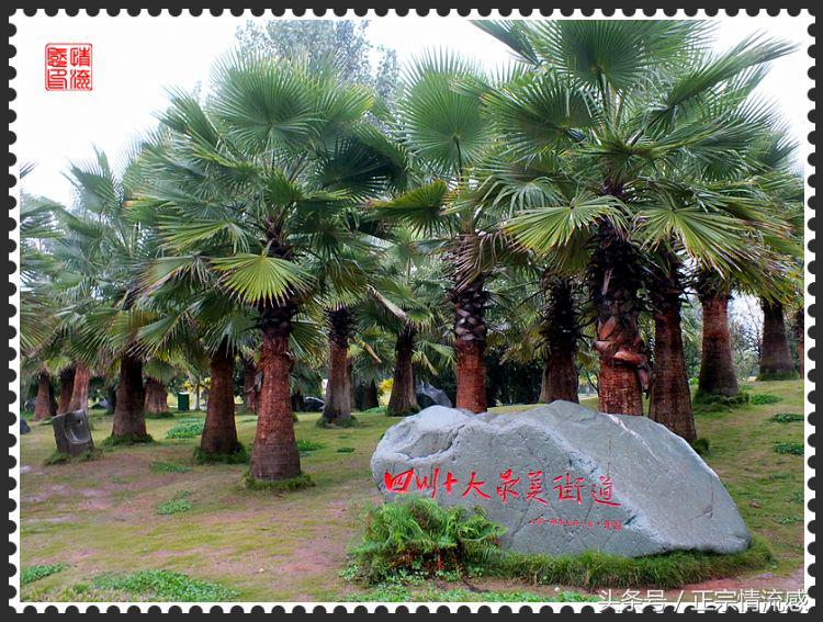 邛海公园旅游攻略,邛海旅游攻略酒村