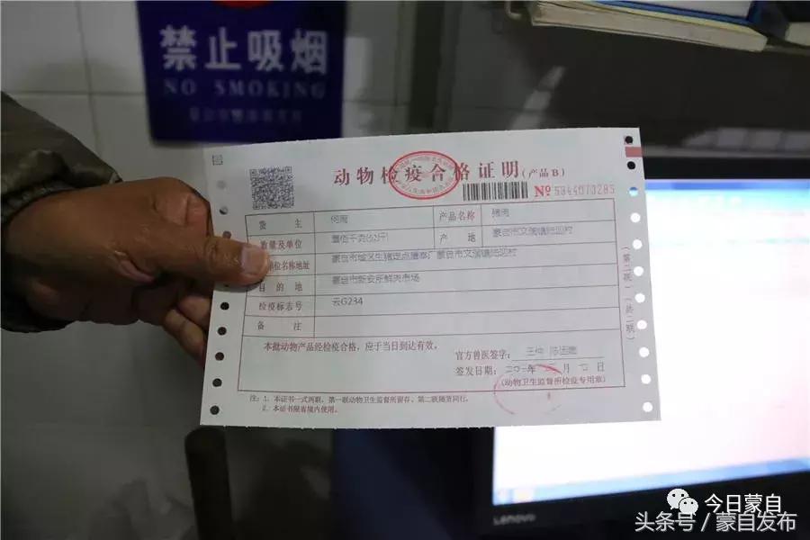 过年了,蒙自的这*猪种**肉千万别买!