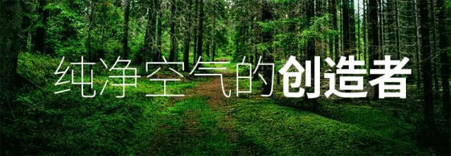 空气净化器哪些品牌不合格,央视曝光空气净化器不合格