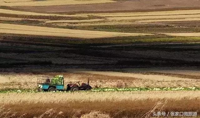 张北草原天路现在的景色,张家口张北草原天路攻略