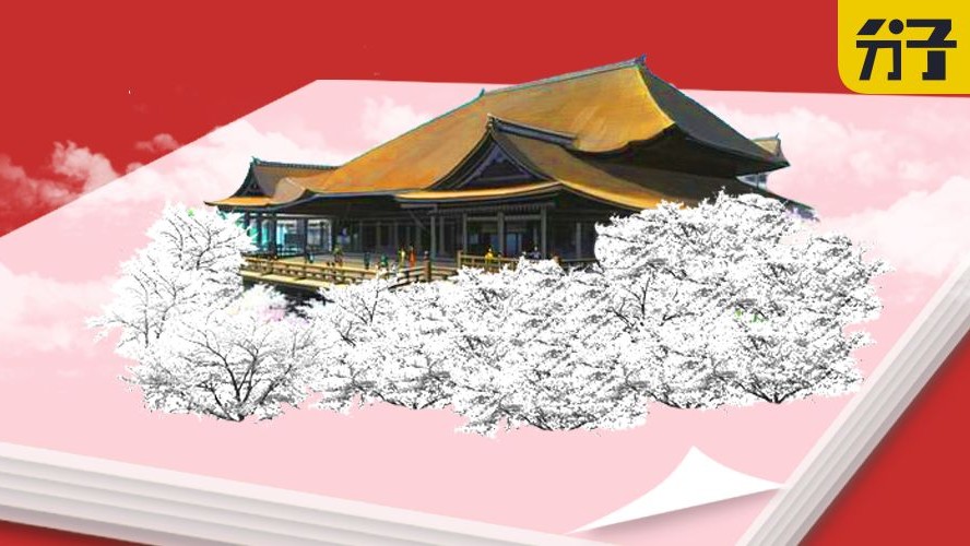 娓呮按瀵轰究绛剧焊鏃ユ湰璐拱,鏃ユ湰娓呮按瀵轰究绛剧焊