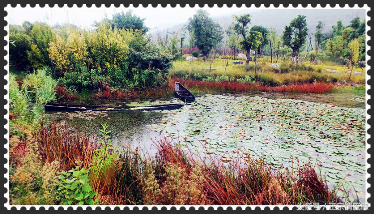 邛海公园旅游攻略,邛海旅游攻略酒村