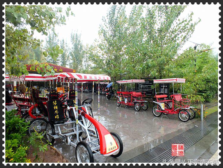 邛海公园旅游攻略,邛海旅游攻略酒村