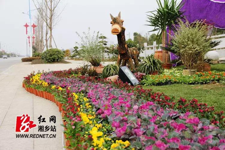 喜迎新春欢欢喜喜过大年,欢欢喜喜迎新年开开心心过大年