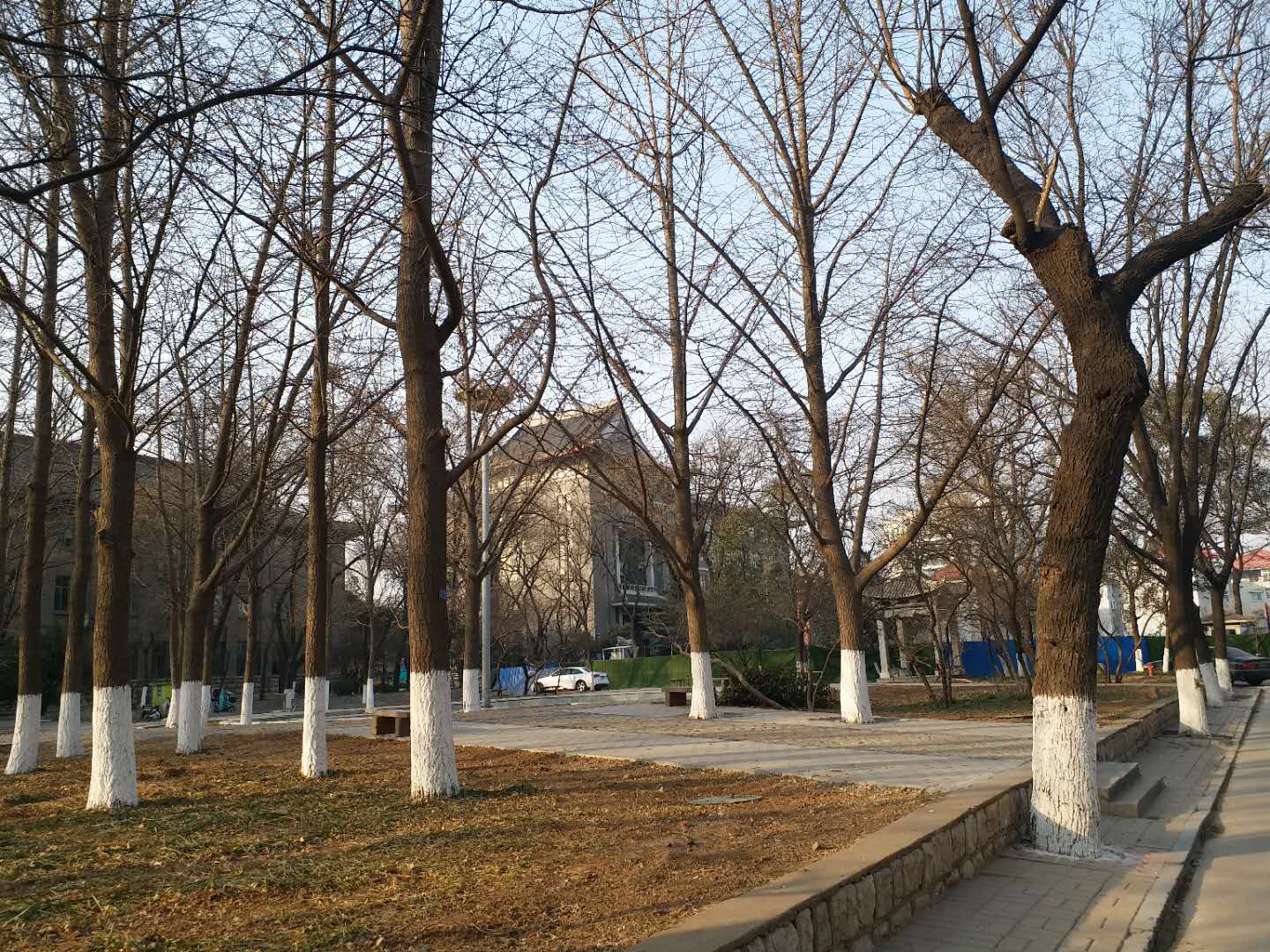 齐鲁医学院简介山东医科大学,山东大学齐鲁医学院老建筑