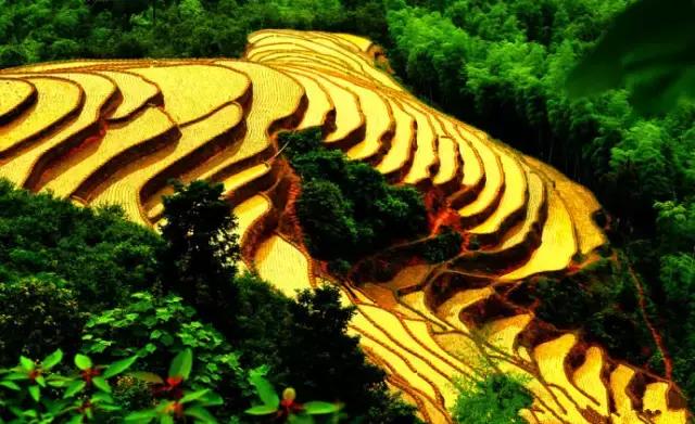 南昌附近小众露营看日出日落,南昌到广州自驾游有哪些景点好玩