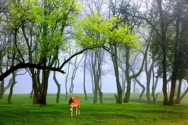 南昌附近小众露营看日出日落,南昌到广州自驾游有哪些景点好玩