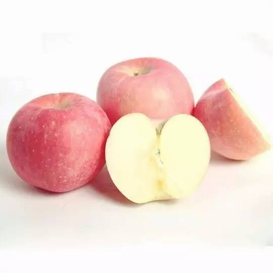 儿童简笔画大全图片水果涂色,秋天成熟的水果有哪些简笔画