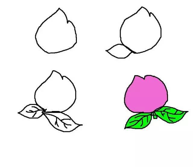 儿童简笔画大全图片水果涂色,秋天成熟的水果有哪些简笔画