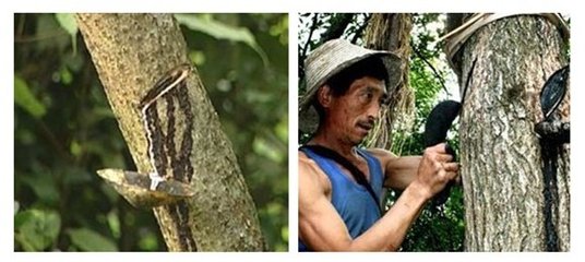 湖南品质高的斫琴用的什么漆,知名斫琴师斫琴用的什么漆