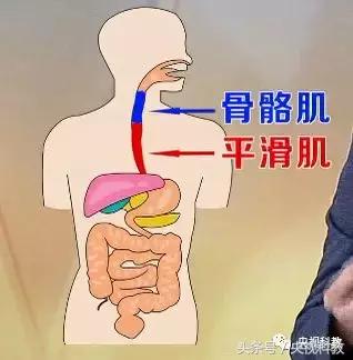 慢性咽炎会出现呛咳怎么治疗,健康之路喉咙咳嗽
