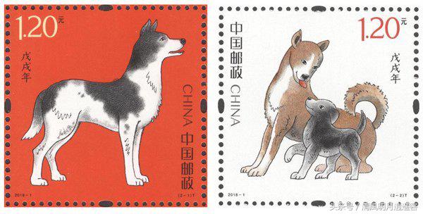 属狗1994年出生2022运势运程,1994年属狗农历几月出生最好最吉