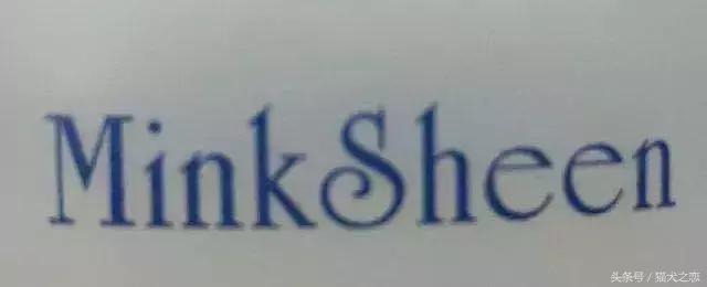 petwish宠物沐浴露怎么样,amopetric宠物沐浴露
