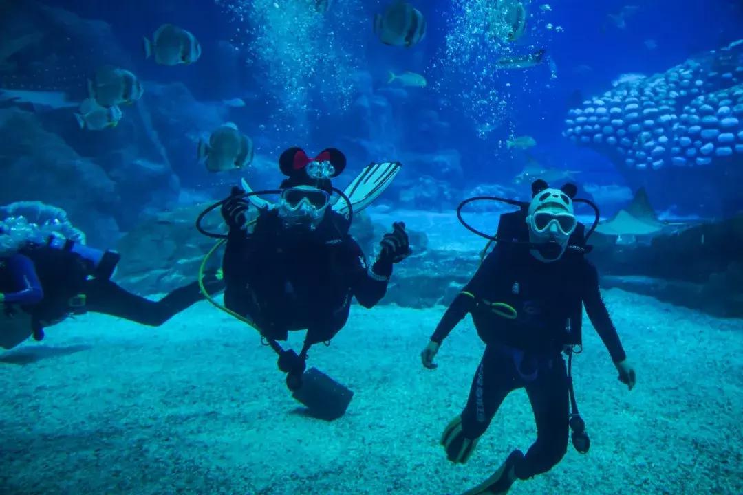 走起~今晚18:30拿出手机摇一摇，《过年啦》惊喜来袭！