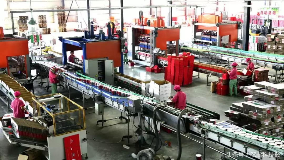 从传统商业模式到电商的转型范文,从农民到百亿创业靠红枣翻身