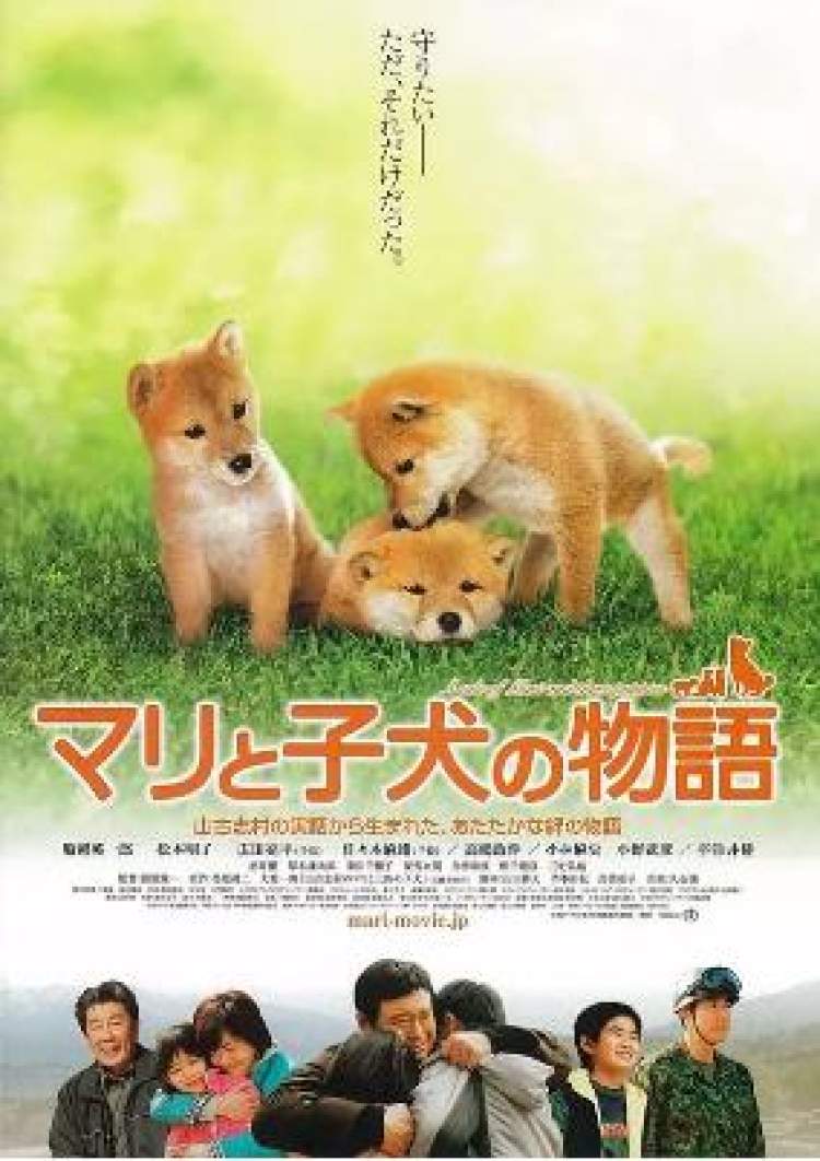 狗年旺旺视频完整版,狗年旺旺2019