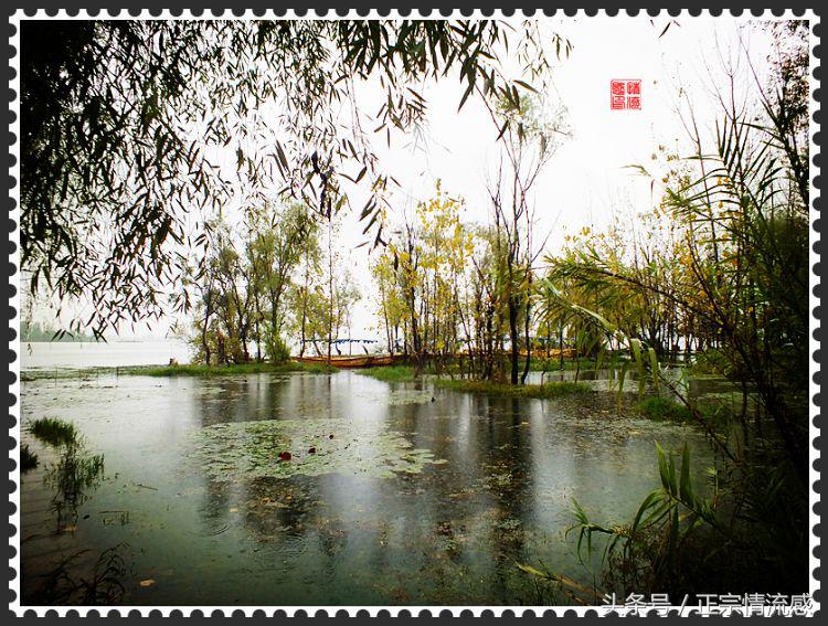 邛海公园旅游攻略,邛海旅游攻略酒村