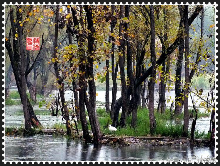 邛海公园旅游攻略,邛海旅游攻略酒村