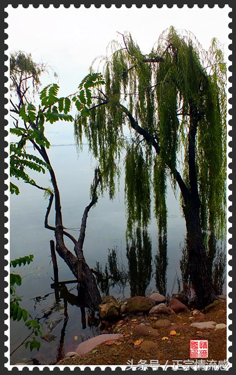 邛海公园旅游攻略,邛海旅游攻略酒村