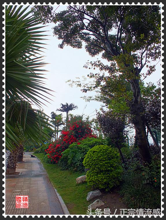 邛海公园旅游攻略,邛海旅游攻略酒村