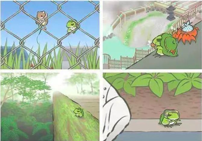 珀兰——让您“蛙儿子”爱上回家