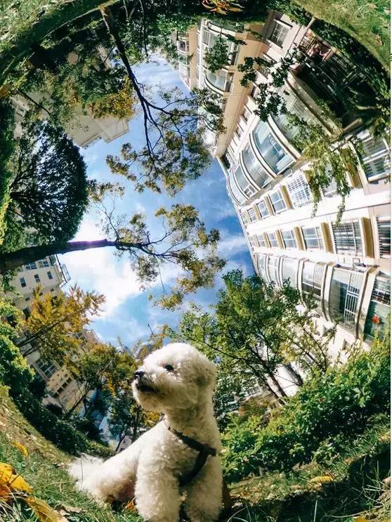 祝天下所有的有情人幸福满满,祝天下有情人恩爱甜蜜