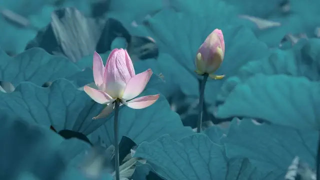 ps撕边效果教程,ps撕边效果名片制作