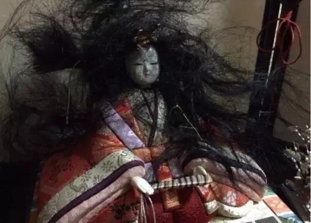 公猫被剪胡子怎么办,猫咪的胡须拔了怎么办