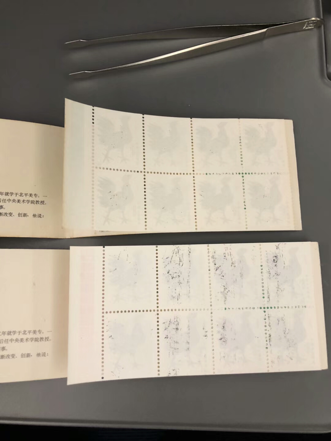 收藏一轮鸡小本邮票，发行价九角六分现在一千二百元