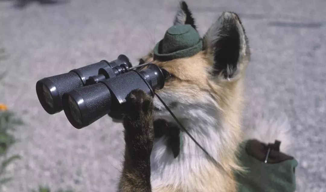 海澜之家的商业模式,海澜之家有什么寓意