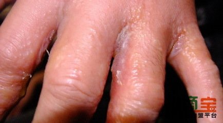 湖南品质高的斫琴用的什么漆,知名斫琴师斫琴用的什么漆