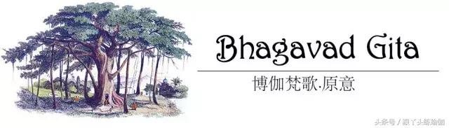 李建霖瑜伽老师,李建霖瑜伽
