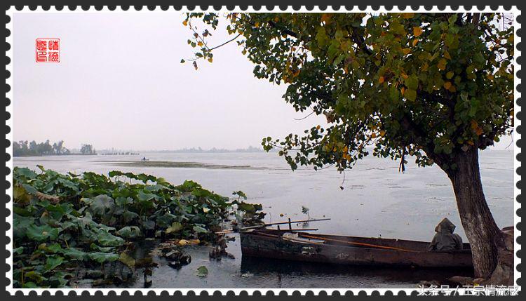 邛海公园旅游攻略,邛海旅游攻略酒村