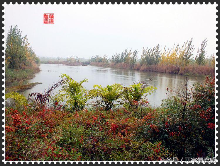 邛海公园旅游攻略,邛海旅游攻略酒村