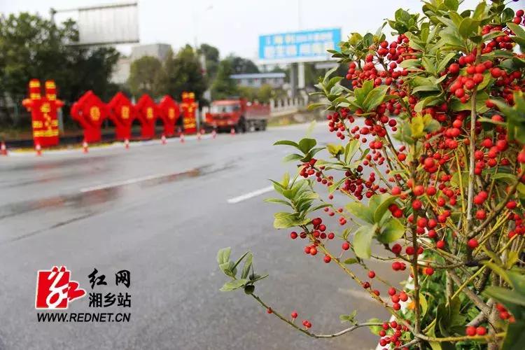 喜迎新春欢欢喜喜过大年,欢欢喜喜迎新年开开心心过大年