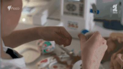 坎贝尔泰迪熊,坎贝尔金丝熊